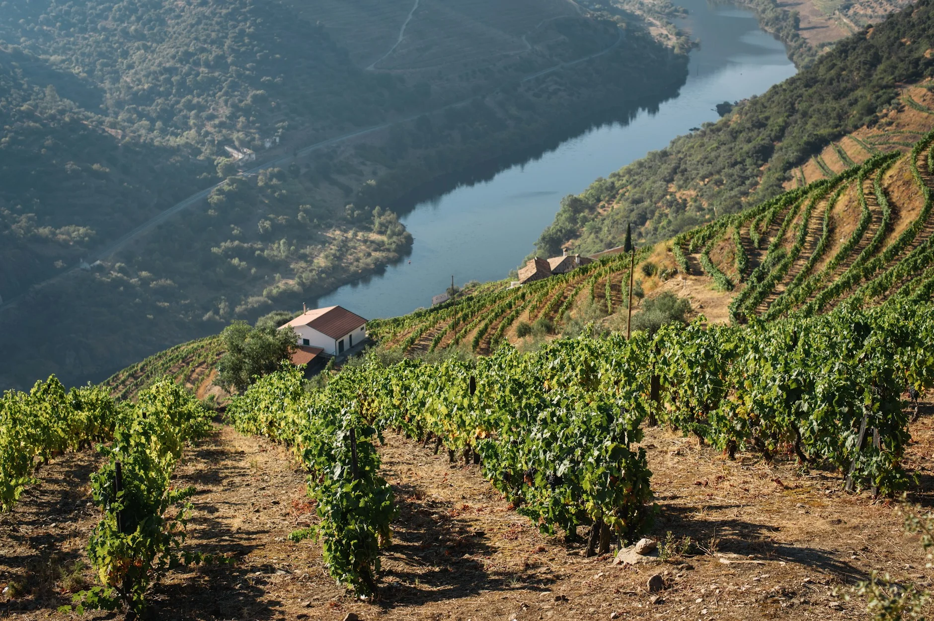 Rondreis Compleet Portugal | Douro Valley